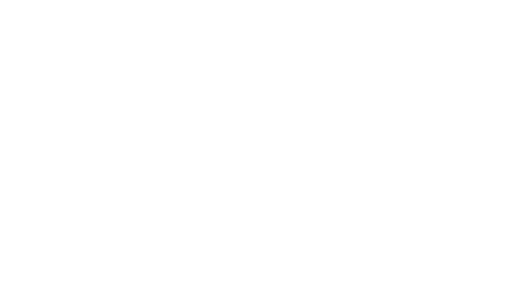 Odontoelite Santa Cruz